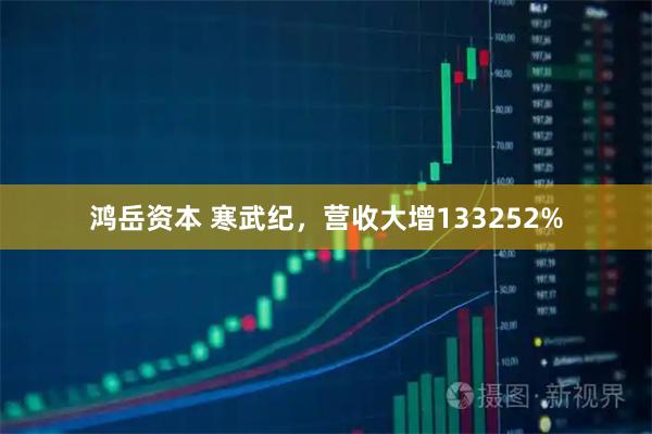 鸿岳资本 寒武纪，营收大增133252%