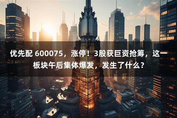 优先配 600075，涨停！3股获巨资抢筹，这一板块午后集体爆发，发生了什么？