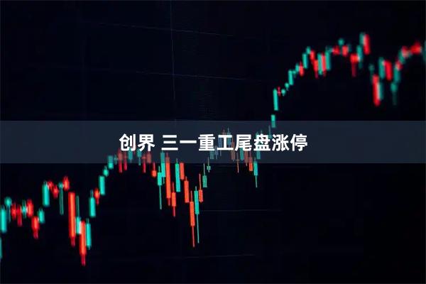 创界 三一重工尾盘涨停