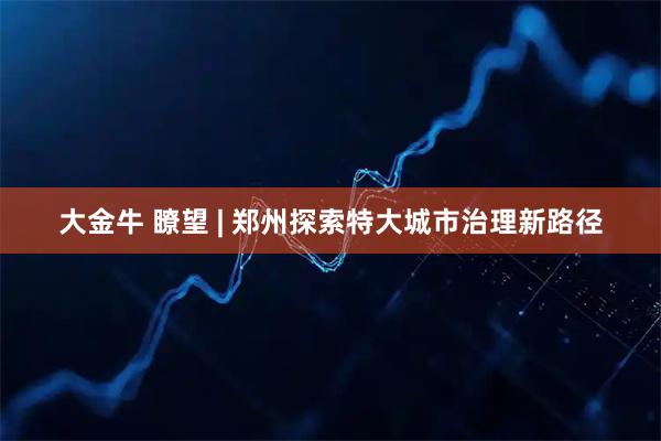 大金牛 瞭望 | 郑州探索特大城市治理新路径