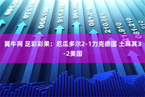 翼牛网 足彩彩果：厄瓜多尔2-1力克德国 土耳其3-2美国